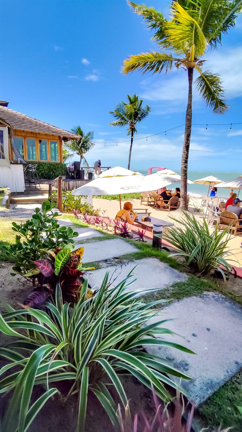 Caminho arborizado nos jardins do Village Mutá
