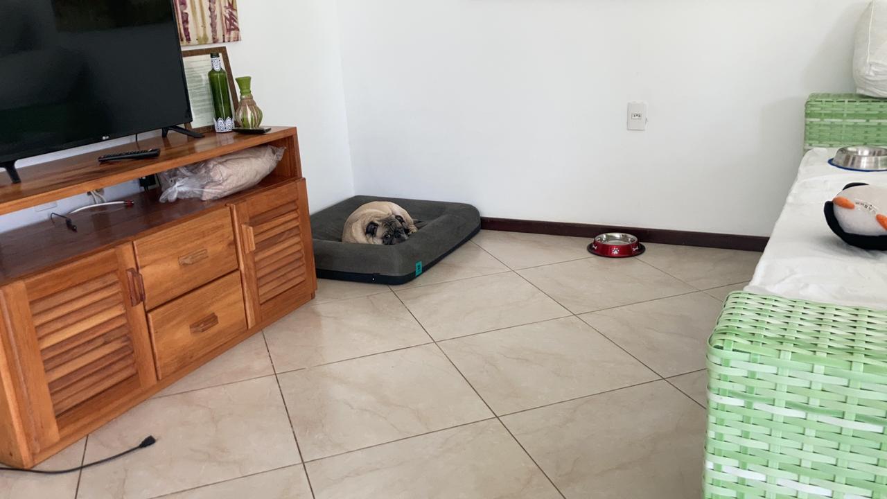 Pug descansando em sua caminha na sala de uma casa do Village